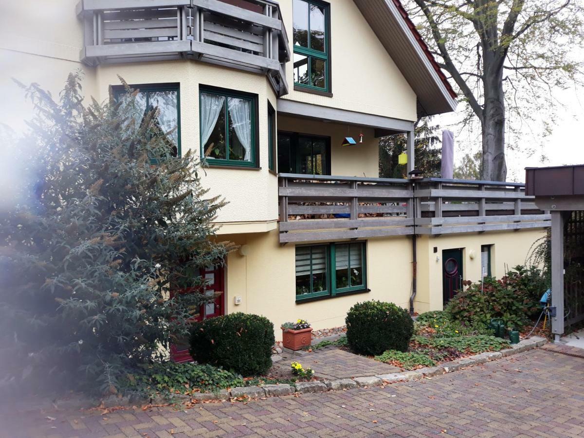 Ferienwohnung Oberloschwitz Dresden Eksteriør bilde